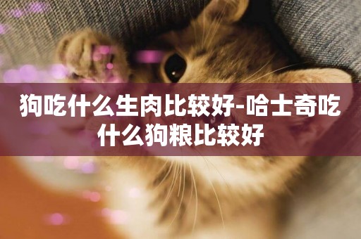 狗吃什么生肉比較好-哈士奇吃什么狗糧比較好