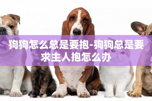 狗狗怎么總是要抱-狗狗總是要求主人抱怎么辦