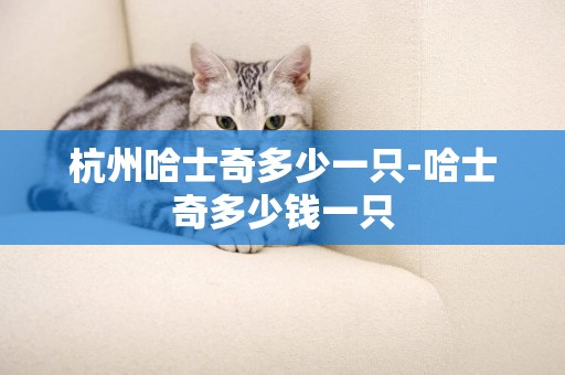 杭州哈士奇多少一只-哈士奇多少錢一只