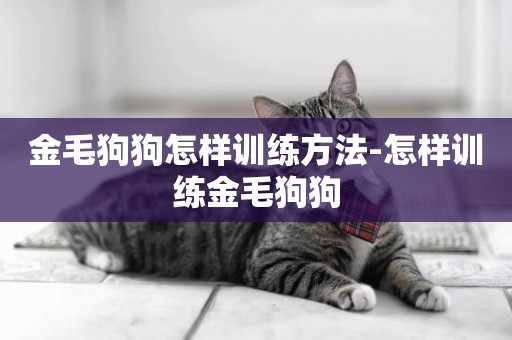 金毛狗狗怎樣訓練方法-怎樣訓練金毛狗狗