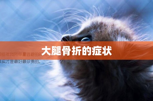 大腿骨折的癥狀