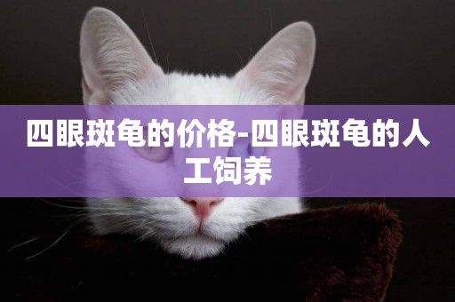 四眼斑龜的價格-四眼斑龜的人工飼養