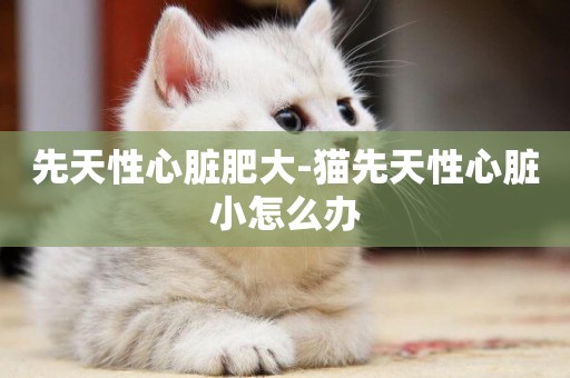 先天性心臟肥大-貓先天性心臟小怎么辦
