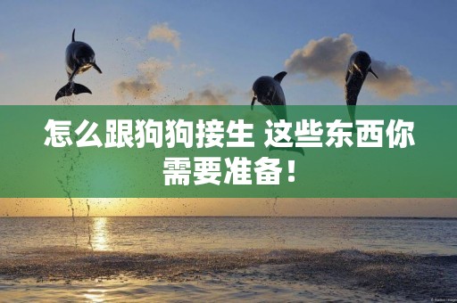 怎么跟狗狗接生 這些東西你需要準備！