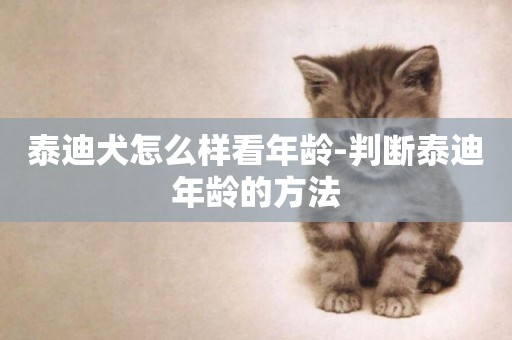 泰迪犬怎么樣看年齡-判斷泰迪年齡的方法
