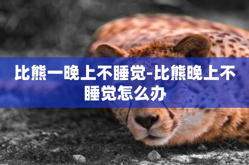 比熊一晚上不睡覺-比熊晚上不睡覺怎么辦