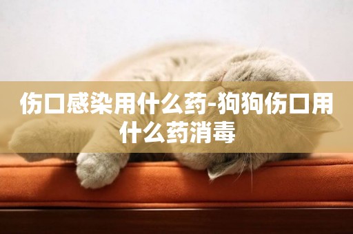 傷口感染用什么藥-狗狗傷口用什么藥消毒
