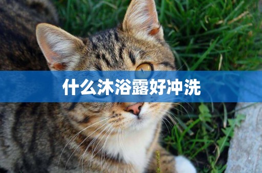 什么沐浴露好沖洗