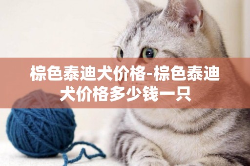 棕色泰迪犬價格-棕色泰迪犬價格多少錢一只