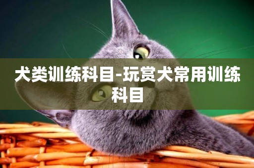 犬類訓練科目-玩賞犬常用訓練科目