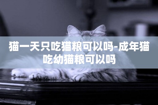 貓一天只吃貓糧可以嗎-成年貓吃幼貓糧可以嗎