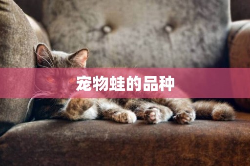寵物蛙的品種