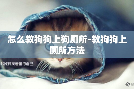 怎么教狗狗上狗廁所-教狗狗上廁所方法