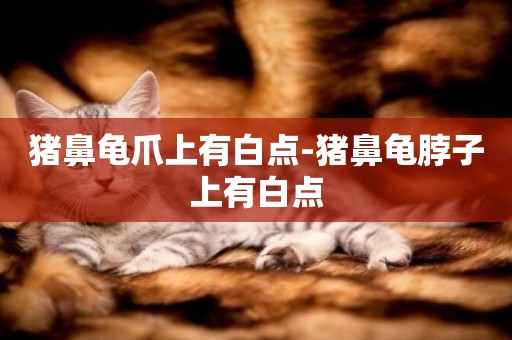豬鼻龜爪上有白點-豬鼻龜脖子上有白點