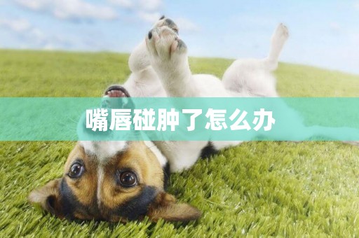 嘴唇碰腫了怎么辦
