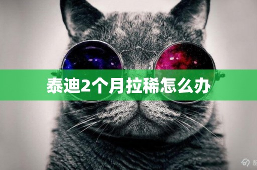 泰迪2個月拉稀怎么辦