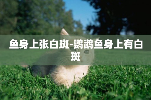 魚身上張白斑-鸚鵡魚身上有白斑