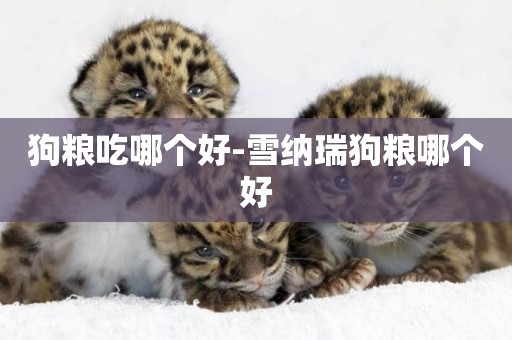 狗糧吃哪個好-雪納瑞狗糧哪個好