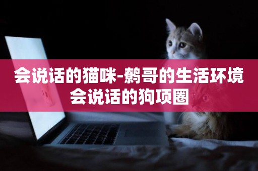 會說話的貓咪-鷯哥的生活環境會說話的狗項圈