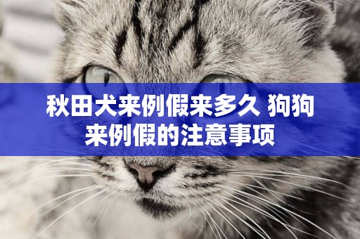 秋田犬來例假來多久 狗狗來例假的注意事項