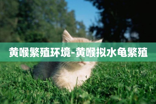 黃喉繁殖環境-黃喉擬水龜繁殖