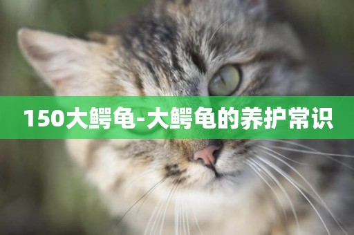 150大鱷龜-大鱷龜的養護常識