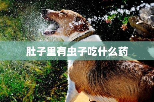 肚子里有蟲子吃什么藥