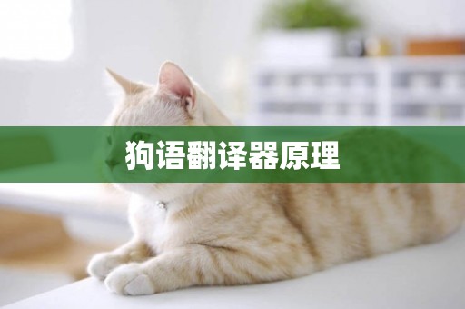 狗語翻譯器原理