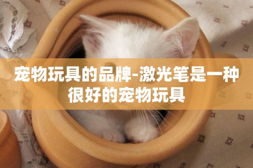 寵物玩具的品牌-激光筆是一種很好的寵物玩具