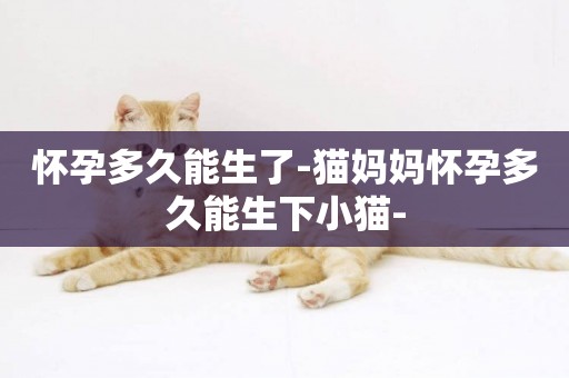 懷孕多久能生了-貓媽媽懷孕多久能生下小貓-
