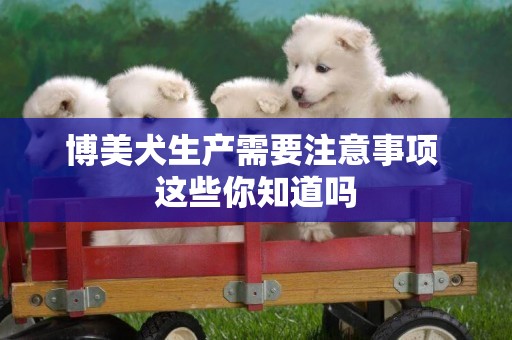 博美犬生產需要注意事項 這些你知道嗎 博美犬生產需要注意事項 這些你知道嗎