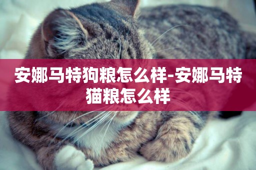 安娜馬特狗糧怎么樣-安娜馬特貓糧怎么樣