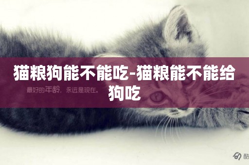 貓糧狗能不能吃-貓糧能不能給狗吃