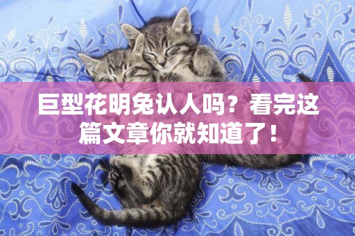 巨型花明兔認人嗎？看完這篇文章你就知道了！