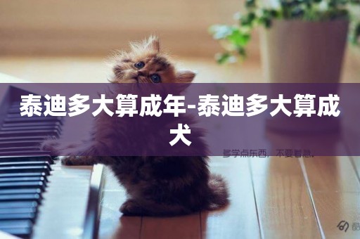 泰迪多大算成年-泰迪多大算成犬