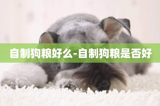 自制狗糧好么-自制狗糧是否好