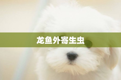 龍魚外寄生蟲