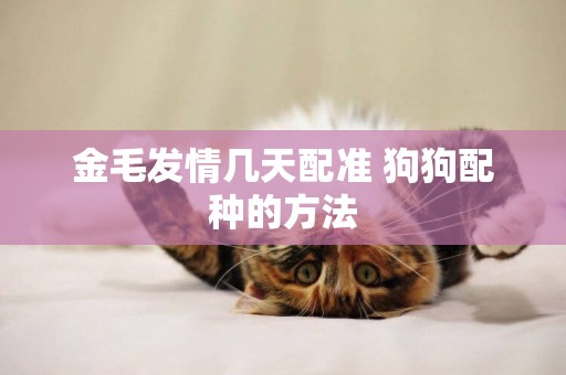 金毛發情幾天配準 狗狗配種的方法