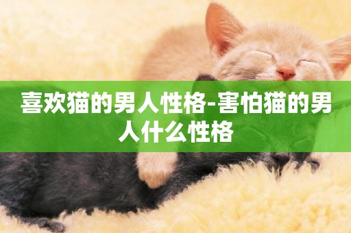 喜歡貓的男人性格-害怕貓的男人什么性格