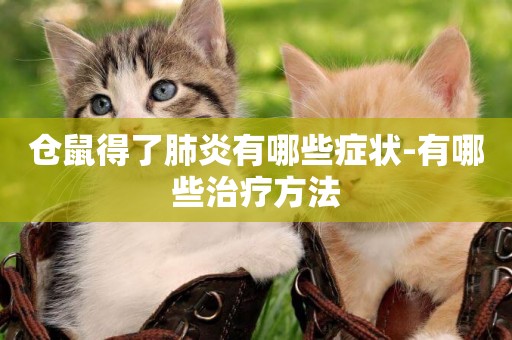 倉鼠得了肺炎有哪些癥狀-有哪些治療方法