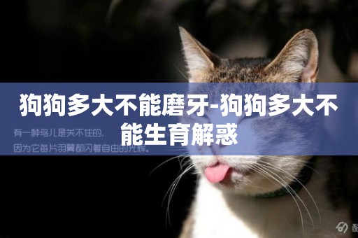 狗狗多大不能磨牙-狗狗多大不能生育解惑