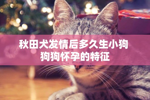秋田犬發情后多久生小狗 狗狗懷孕的特征