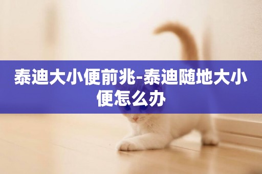 泰迪大小便前兆-泰迪隨地大小便怎么辦