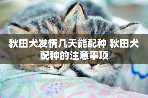 秋田犬發情幾天能配種 秋田犬配種的注意事項