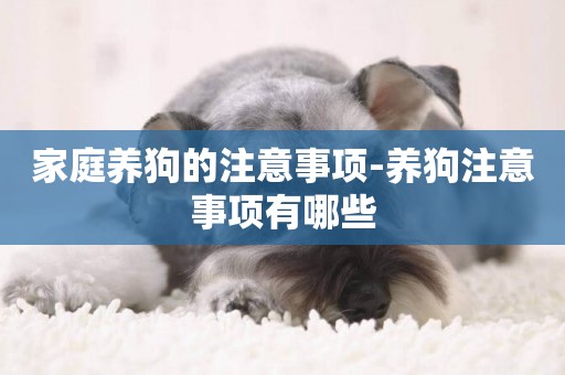 家庭養狗的注意事項-養狗注意事項有哪些