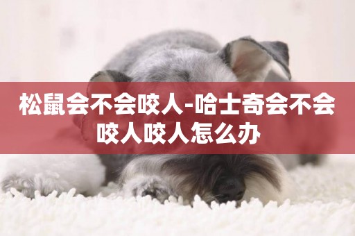 松鼠會不會咬人-哈士奇會不會咬人咬人怎么辦