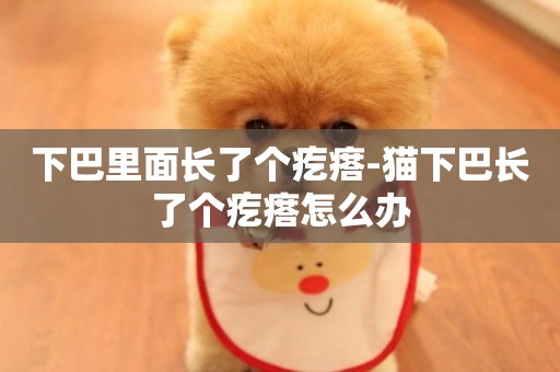 下巴里面長了個疙瘩-貓下巴長了個疙瘩怎么辦
