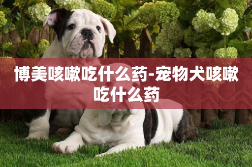 博美咳嗽吃什么藥-寵物犬咳嗽吃什么藥