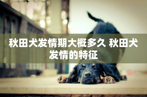 秋田犬發情期大概多久 秋田犬發情的特征 秋田犬發情期大概多久 秋田犬發情的特征