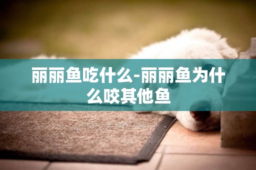 麗麗魚吃什么-麗麗魚為什么咬其他魚